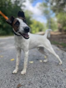 548210613_1108959741338109_8925390818229537175_n