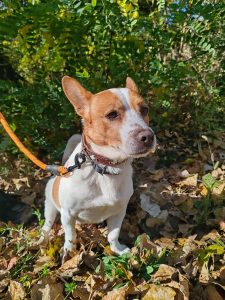 625317230_1221794760054606_1265622682028331534_n