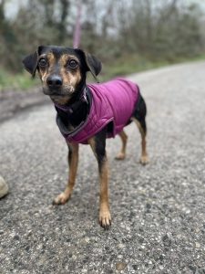 625828234_1221790273388388_3674179728620954736_n