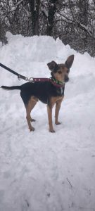 627492381_1221802580053824_4315494166779167262_n