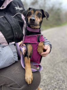 627720391_1221790310055051_4782445206725198233_n