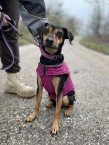 627764507_1221790430055039_4212467160659523549_n