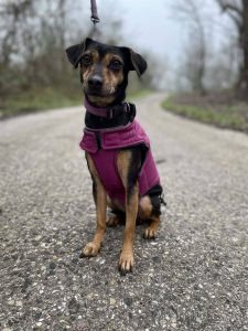 627786813_1221790586721690_1086071926972006616_n