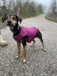 629995549_1221790396721709_8112784355867635131_n