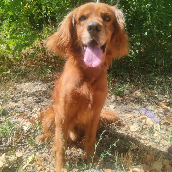 Maylo